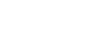 Zebra Lymphatic